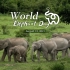 世界大象日：一起守护我们的大朋友