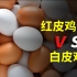 鸡蛋为什么有红皮也有白皮，选哪种更好些？