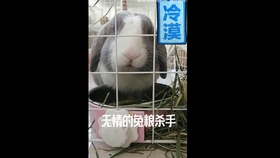 6ac00adc4c22b0d6e08c4a41b0429ad7e857f392.jpg@280w_158h_1c_100q.jpg