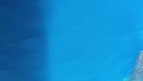 6ac52db77db6ab8a6d4e8667e57f2e4a0971e4c6.png@280w_158h_1c_100q.jpg