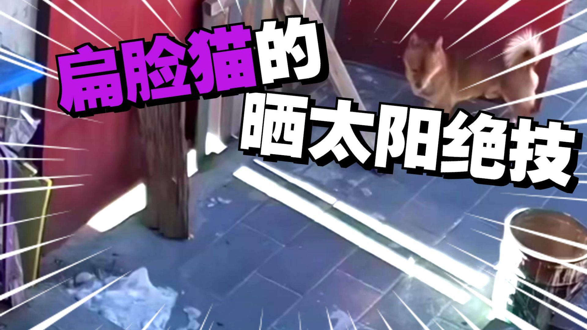 每一次的离开都装作很轻松