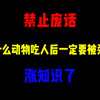 禁止废话：为什么动物吃人后一定要被杀死？涨知识了