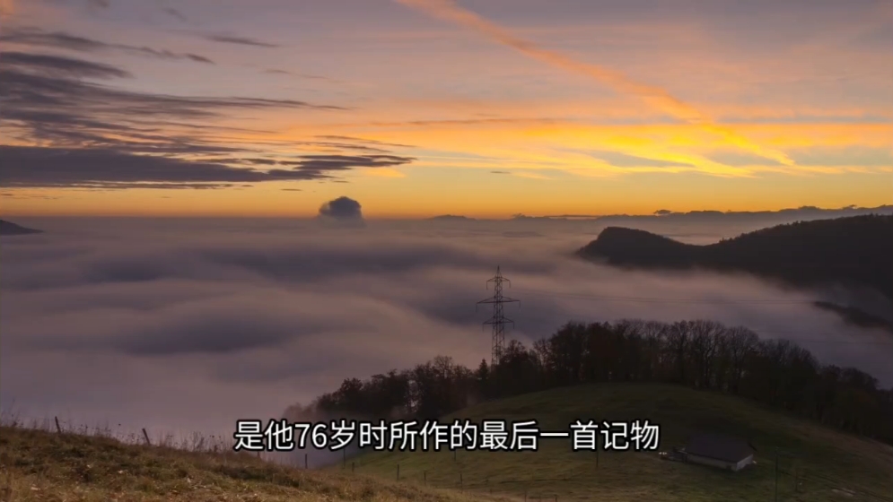 字幕下载