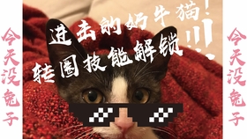 6b03b6d34536d50b4d9fbc4bab6512679735513f.jpg@280w_158h_1c_100q.jpg