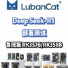 DeepSeek-R1部署测试 基于硬件：鲁班猫RK3576/RK