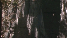 6b14cded2c9167e24e7a8dc8c25ffe2ab6e781e2.jpg@280w_158h_1c_100q.jpg