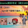 猫meme期末考试(满分