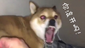 6b45f474301f418b10bccccc1338ad6a5e302a1a.jpg@280w_158h_1c_100q.jpg