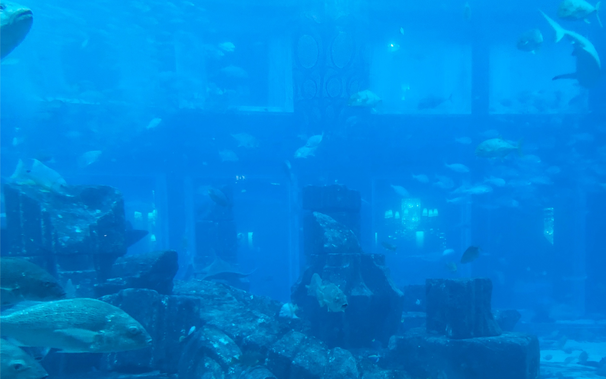 【个人记录】迪拜亚特兰蒂斯失落的世界水族馆&沙滩黄昏