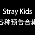 【StrayKids】各种预告视频合集