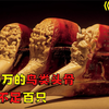 文玩界的宝物，人称“鹤顶红”的盔犀鸟，是如何走向濒危的