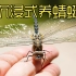 河边抓的小虫子，带回家饲养了两个月，最后却变成了蜻蜓？