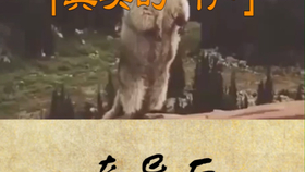 6b78285f11c8ae10ec7fe4b492e07e0dce308fa3.png@280w_158h_1c_100q.jpg