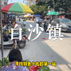 寻味珠乡：白沙镇