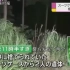 日本深山中发现两具尸体 疑似中国籍姐妹