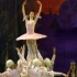 古典芭蕾舞剧《胡桃夹子》现场，优雅养眼又动人！