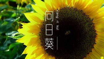 6bbb27d63a8ef598ce47ebc80522c031c53b39e4.jpg@336w_190h_1c.jpg