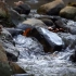 空镜头视频 流水溪流小河小溪 素材分享