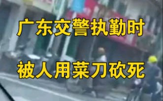 广东交警执勤时被人用菜刀砍死，35岁嫌犯已被抓获