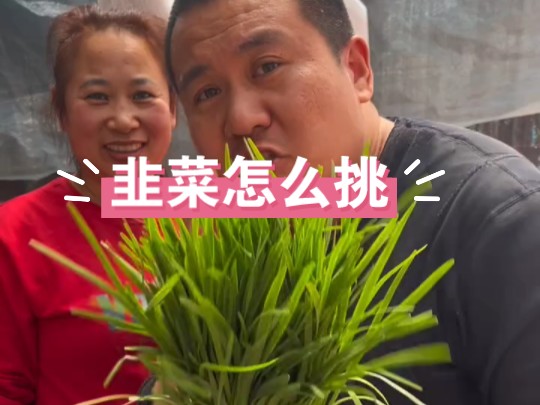 东北早市土豆哥三步教你挑好吃的韭菜