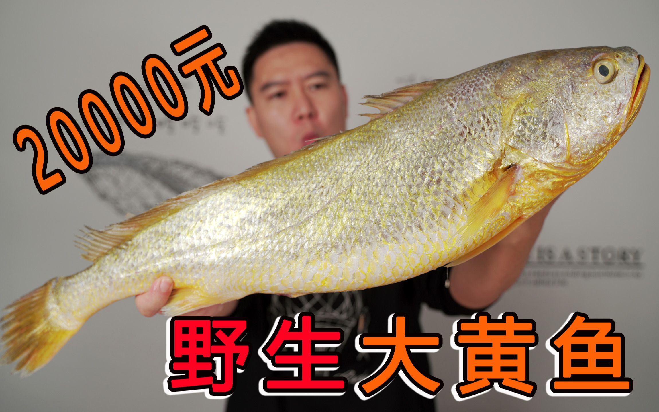 拍卖级别的超大野生大黄鱼，号称海中金条，破纪录试吃啊