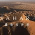 【纪录片】撒哈拉沙漠【双语特效字幕】【纪录片之家爱自然】