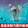 自由泳耐力提升秘诀！游泳理论