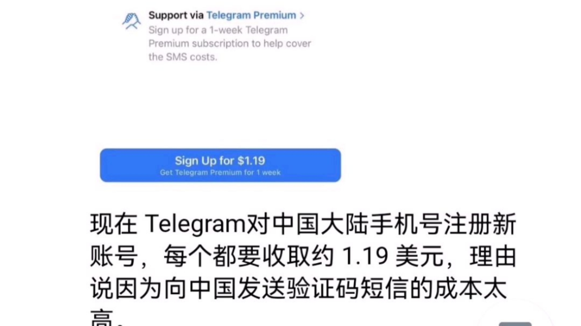1.19美元毁了我的纸飞机梦