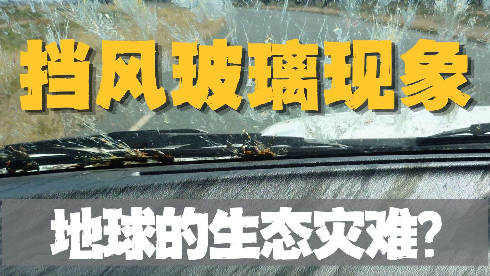 跑高速挡风玻璃越干净，人类越危险？