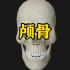颅骨～3D解剖合集