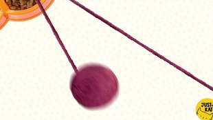 6c5422ac96f3ad4649c7a39e54505fa31d111a4e.jpg@310w_174h_1c_100q.jpg