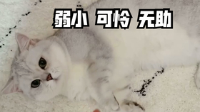 6c557f287a6ef418229c00567c283bdf4007fa23.jpg@280w_158h_1c_100q.jpg