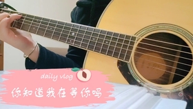 陈粒 小半 弹唱