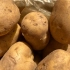 种土豆，有10个步骤