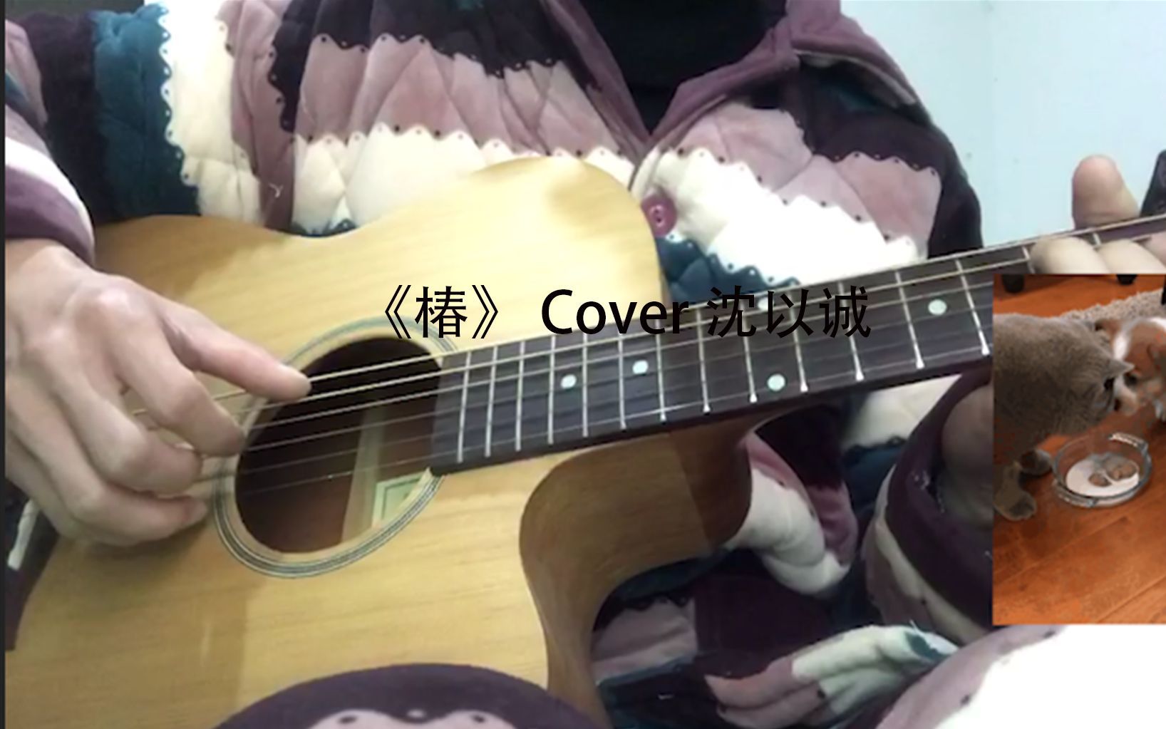 穿睡衣弹吉他的小哥哥【翻唱】椿-cover沈以诚竟然这么好听!