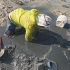 玉平来烂泥地里挖螃蟹，玉平顶着烈日挖了几小时，能赚钱就很开心