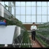 5G智慧农业宣传片短视频