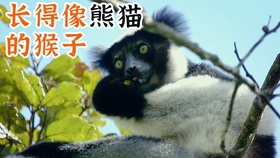 6c9c5491430d7456cd847716e396ecfa55631d8f.jpg@280w_158h_1c_100q.jpg