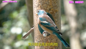 6ca02d363dd6da562cf2e8aebb97d610e1402fc6.jpg@280w_158h_1c_100q.jpg