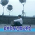 《笑脸》谢东 MV 1080P 60FPS(LD采集 全网独家)