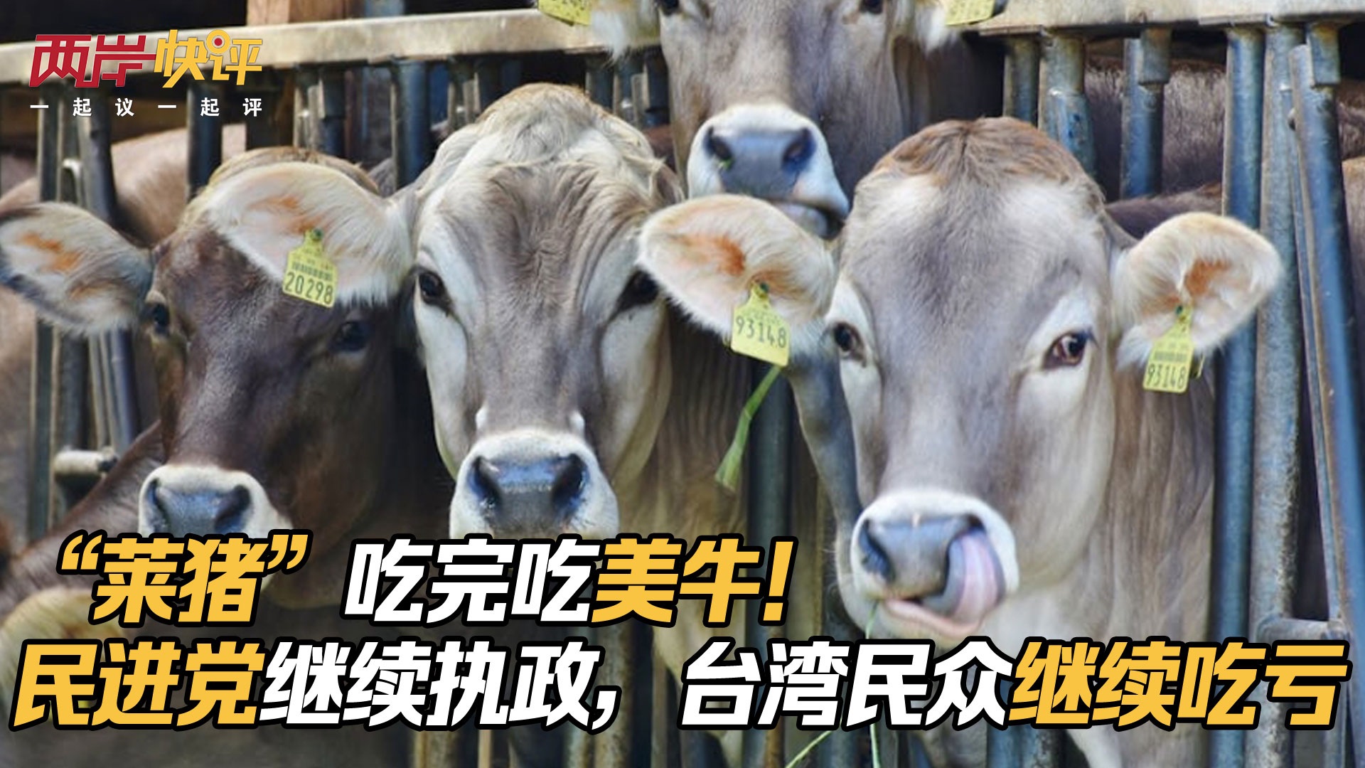 “莱猪”吃完吃美牛！民进党继续执政，台湾民众继续吃亏