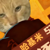 🐱逐基