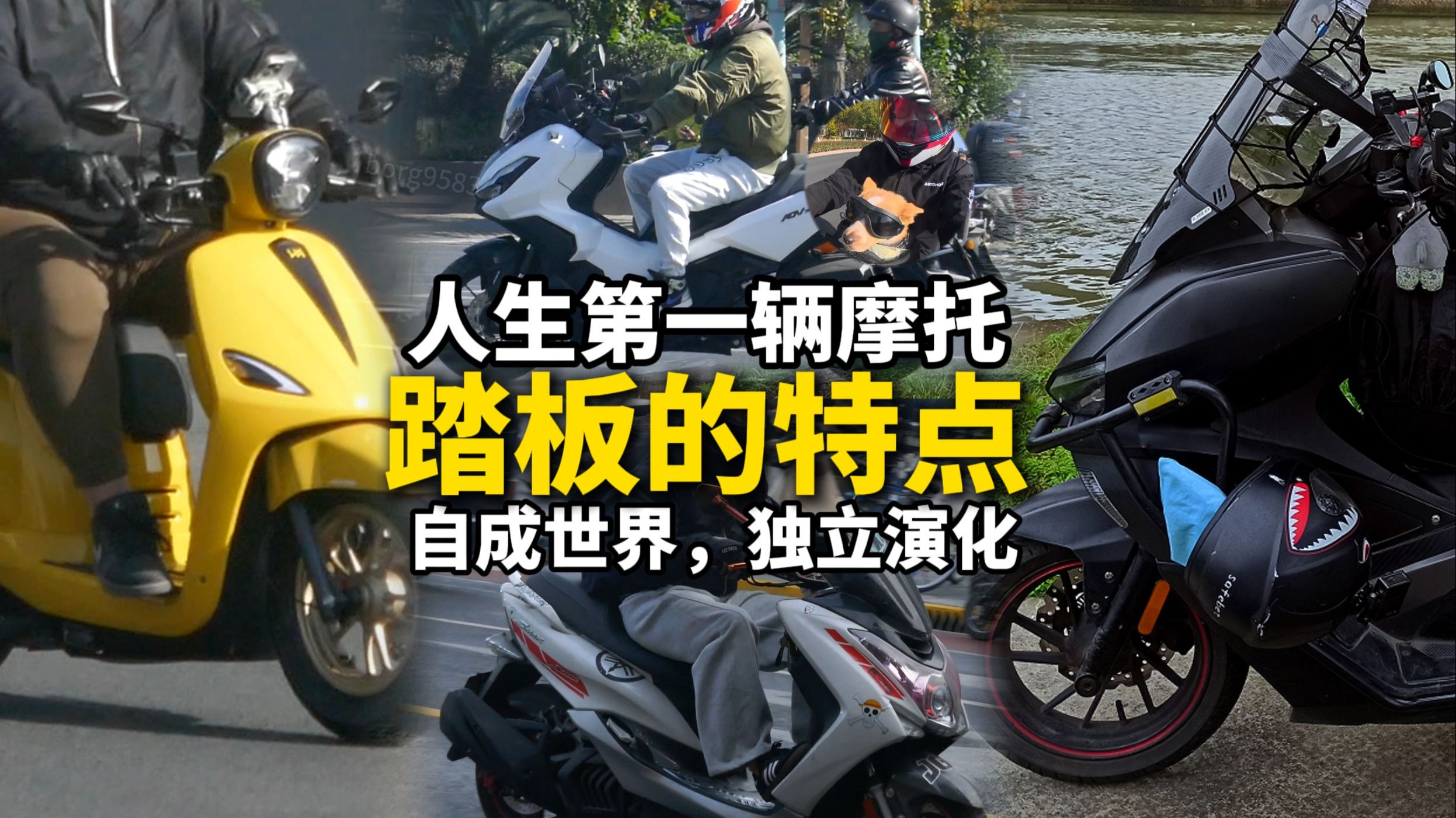 踏板的特点，自成世界，最好的入门摩托