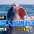 你了解海洋霸主噬人鲨？它为何如此凶残？