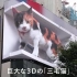 日本东京新宿裸眼3D公共艺术媒体巨猫