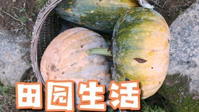 6d2d2d90f3afd371a75356c6be456ce432ea4eb7.jpg@280w_158h_1c_100q.jpg