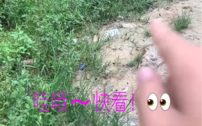 VLOG02/观澜+观澜小镇VLOG哔哩哔哩bilibili