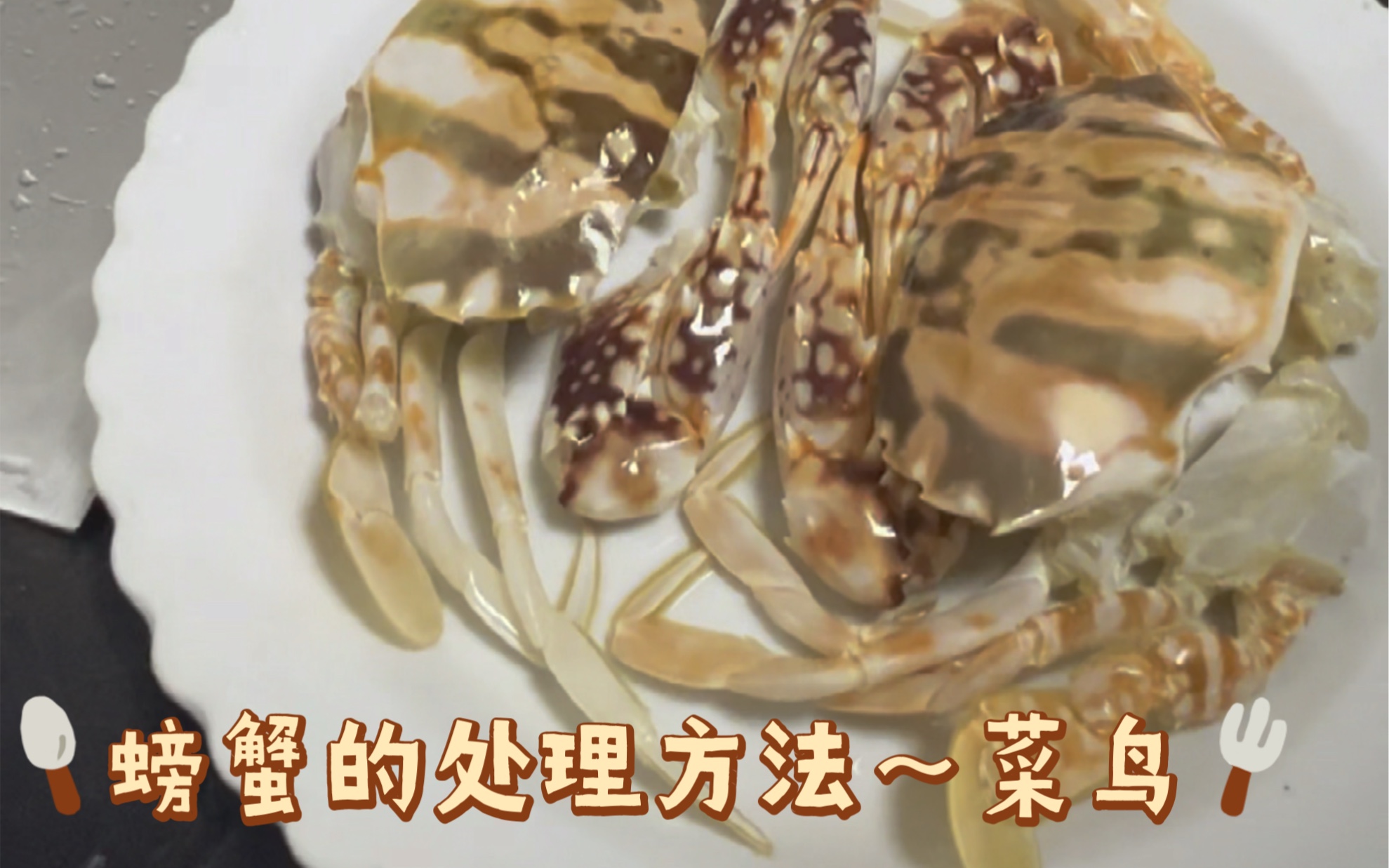 螃蟹会吃，但你会处理吗？菜鸟教学之螃蟹的处理方法