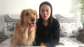 狗为啥怕主人教训 6d437e971ad730fe3212ffd5109a574c631fcd68.jpg@280w_158h_1c_100q.jpg