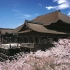 【超清】京都-清水寺的樱花~